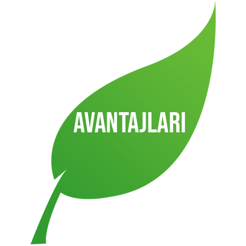 avantajlar