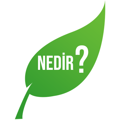 nedir